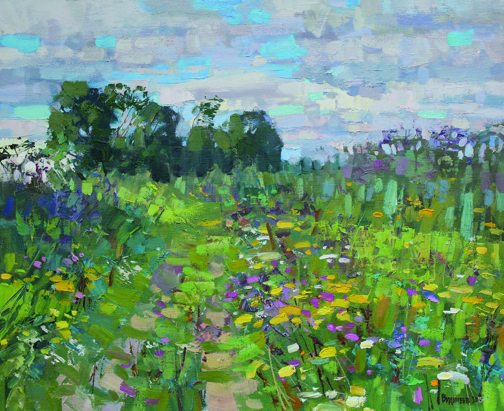 Пижма цветет