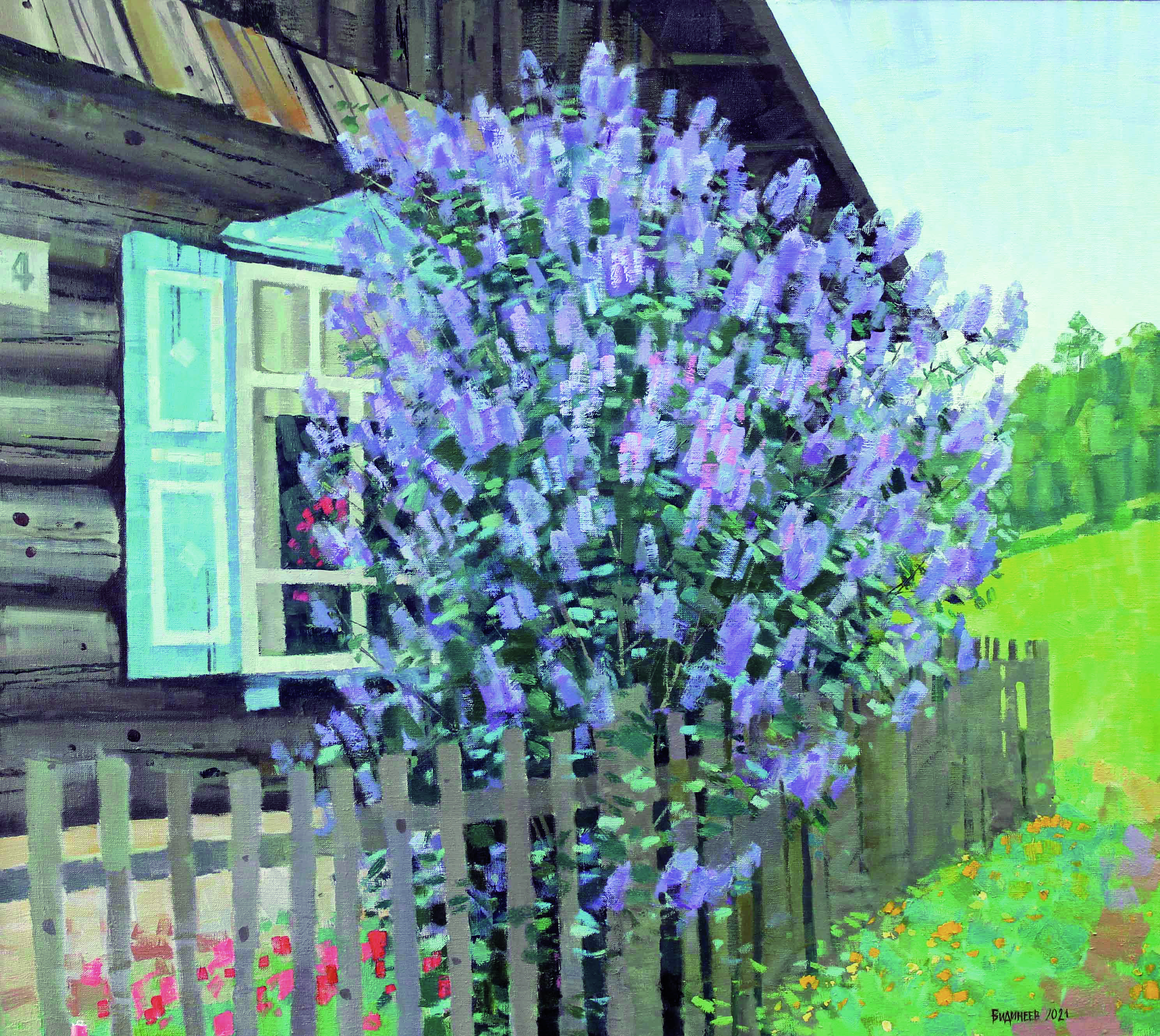 Сирень цветет